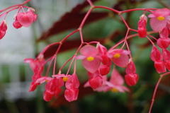 2010_0313_034903-IMGP4817