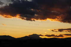 sunset_183