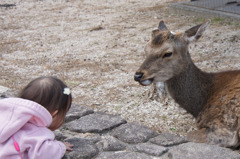 あぁん？やんのか、こらぁ