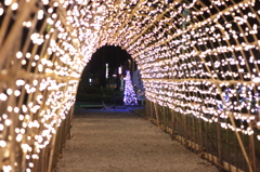 あがのイルミフェスタ2011