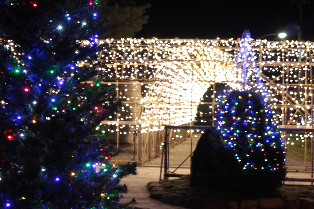 あがのイルミフェスタ2011