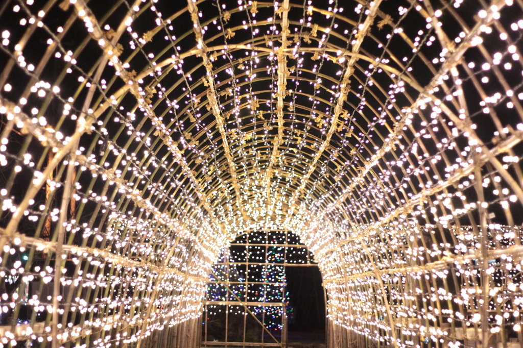 あがのイルミフェスタ2011