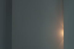 光