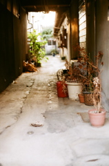 路地