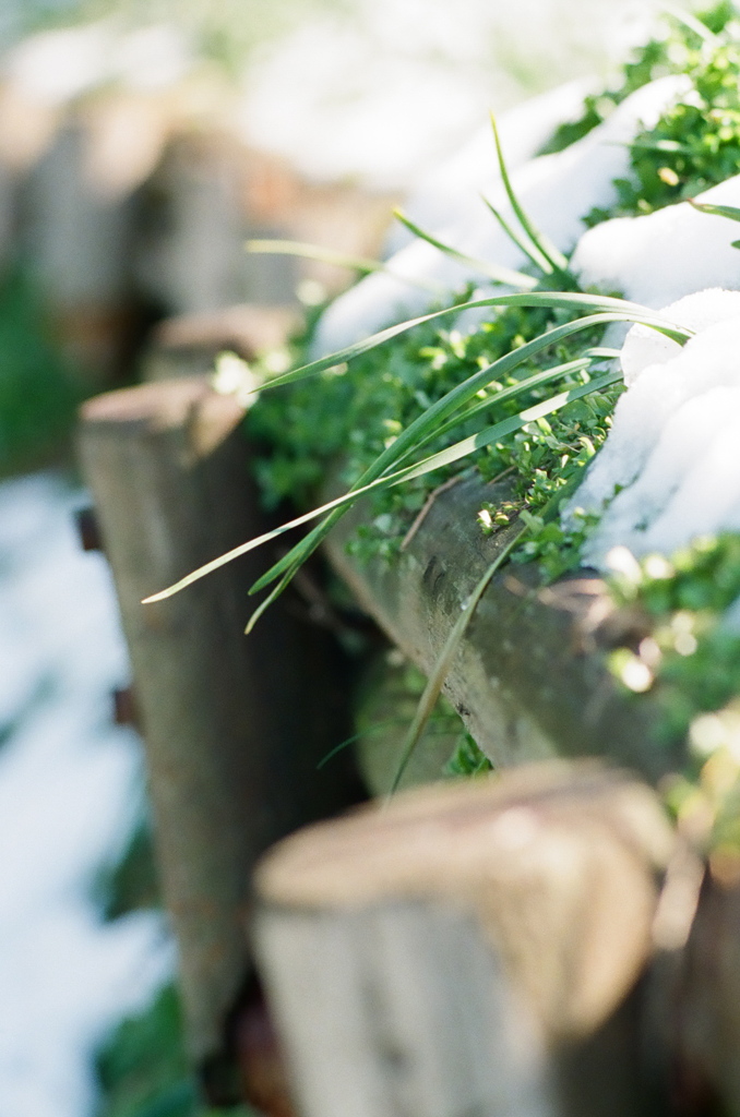 雪ニモマケヌ