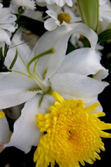死者に手向けられた花2
