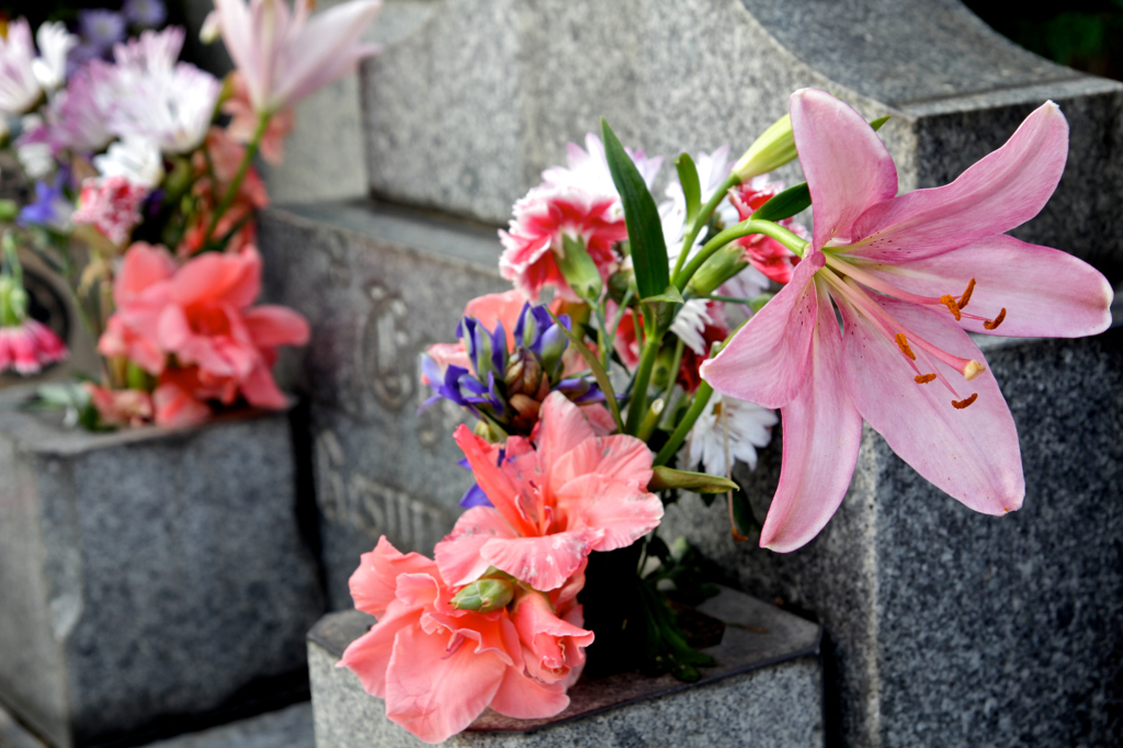 死者に手向けられた花1