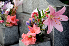 死者に手向けられた花1