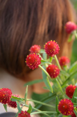 記憶の中の百日草