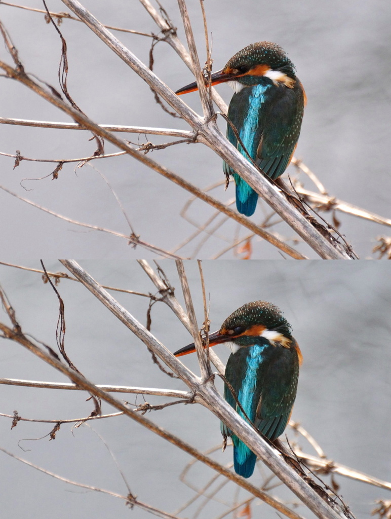 違いが分かりますか？