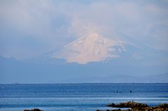 穏やかな冬の海