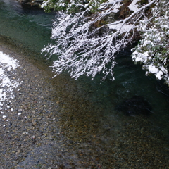雪の渓流