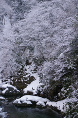雪の渓谷