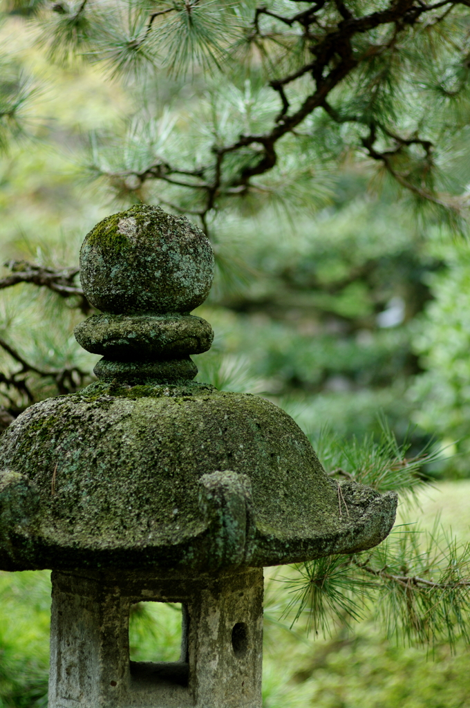 苔むす石灯籠