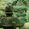 苔むす石灯籠