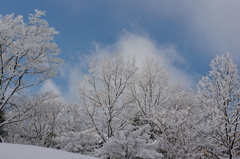 雪花　すぎゆく冬へ