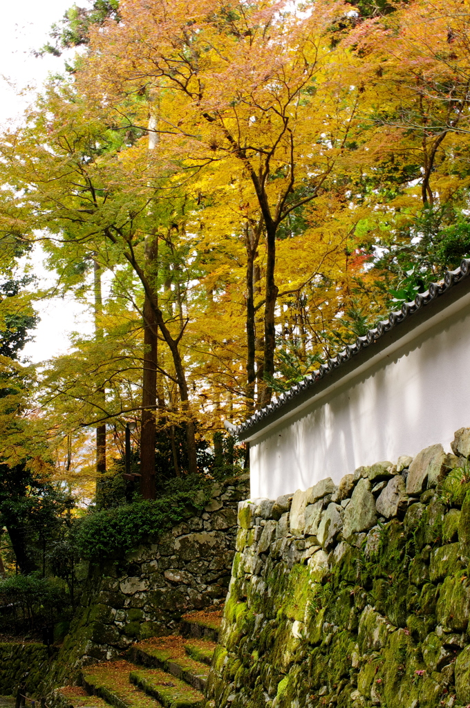 三千院　裏手の紅葉