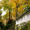 三千院　裏手の紅葉