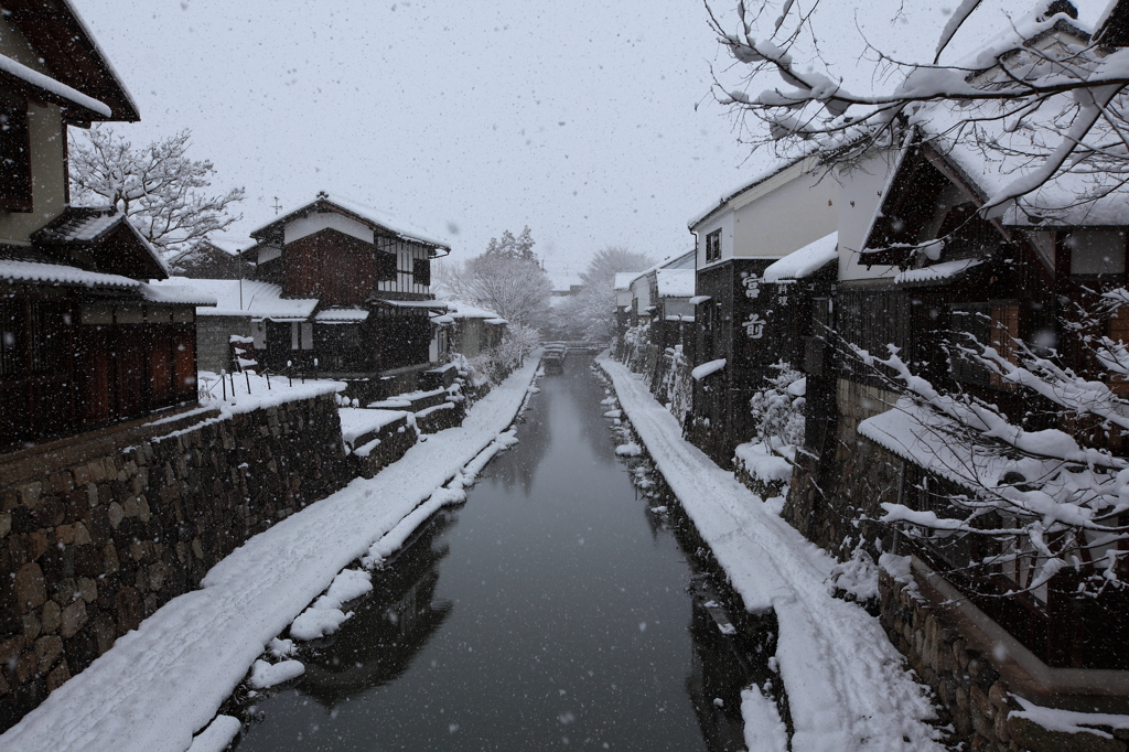冬の堀