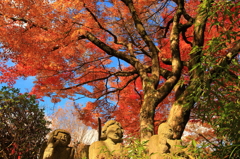 羅漢と紅葉
