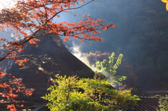 郷の秋