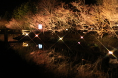 鏡池