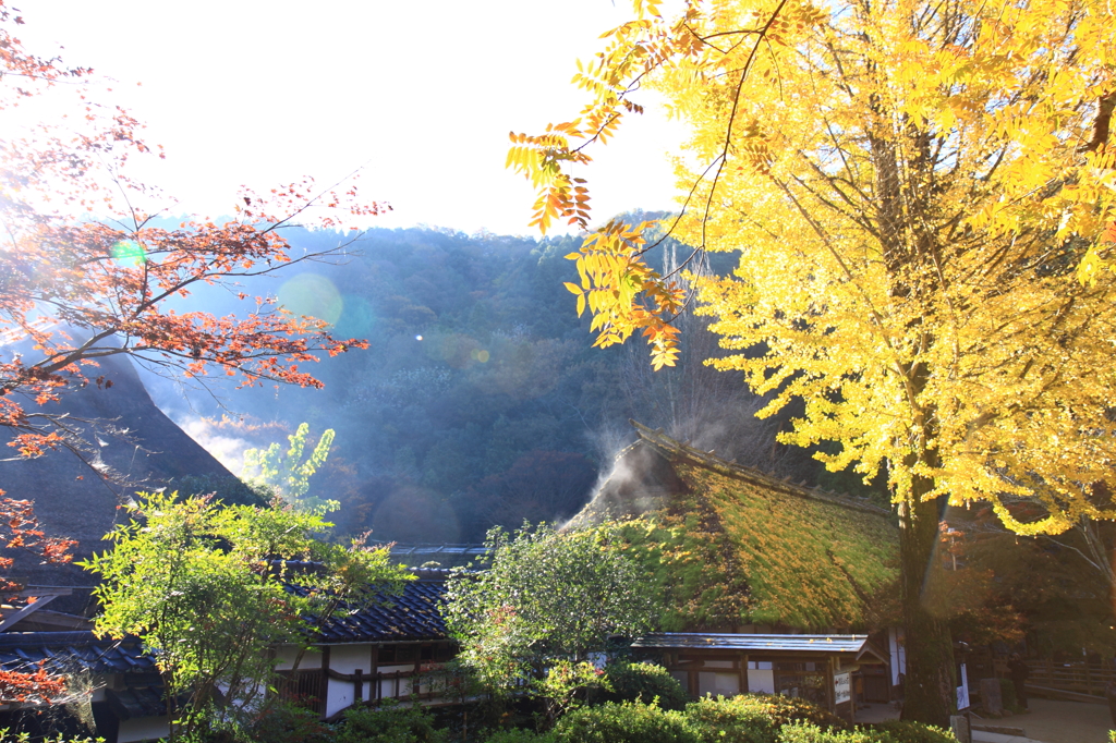 山里の秋