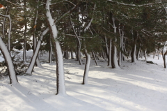 吹雪の後