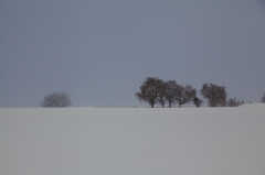 雪原(まるで北海道みたい)