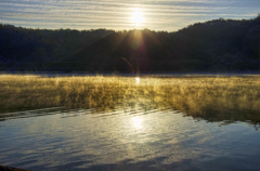 in the early morning