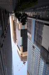 R1150882