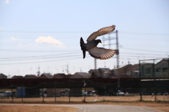 photo02112