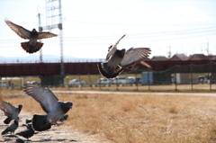 photo02111