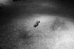 photo10