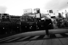 photo9