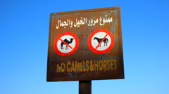 NO CAMEL