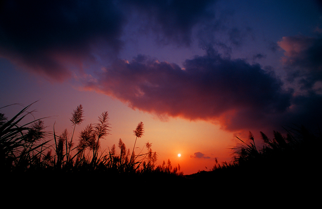 冬の夕陽
