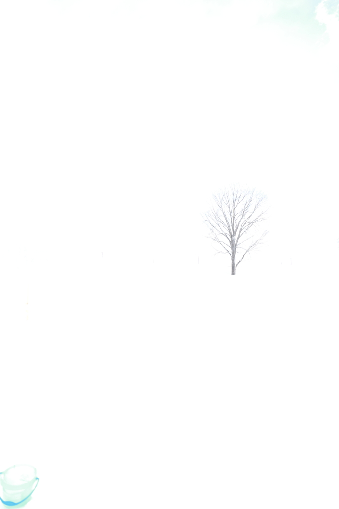 白い世界
