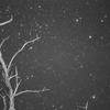 星に願いを　モノクロ
