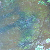 水に映る世界