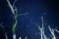 星に願いを