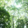 地葉空