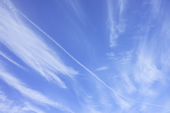 空青