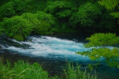 柿田川