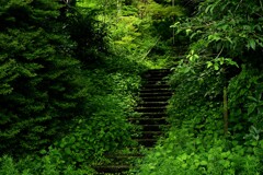埋もれ階