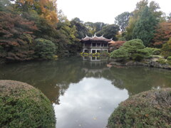 新宿御苑　2025・11.23