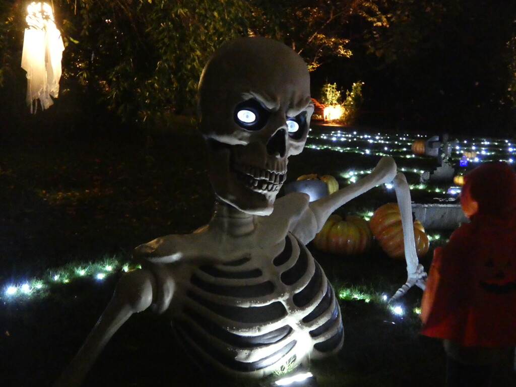2025.10.26 横浜イングリッシュガーデン　ハロウィーンナイト
