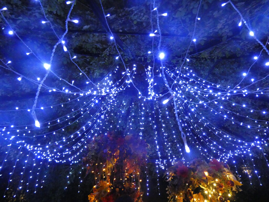 2025.10．26 横浜イングリッシュガーデン　ハロウィーンナイト