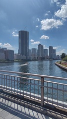 佃大橋より
