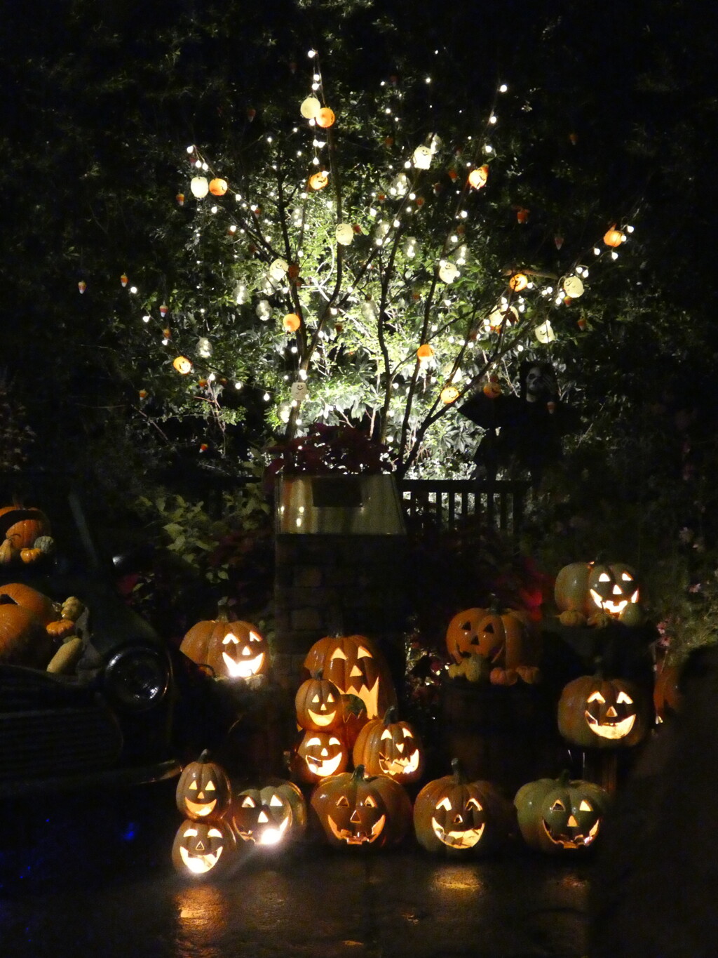 2025.10.26 横浜イングリッシュガーデン　ハロウィーンナイト